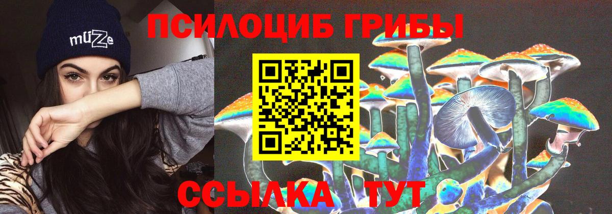 Галлюциногенные грибы мицелий  Вход с VPN  Черногорск 