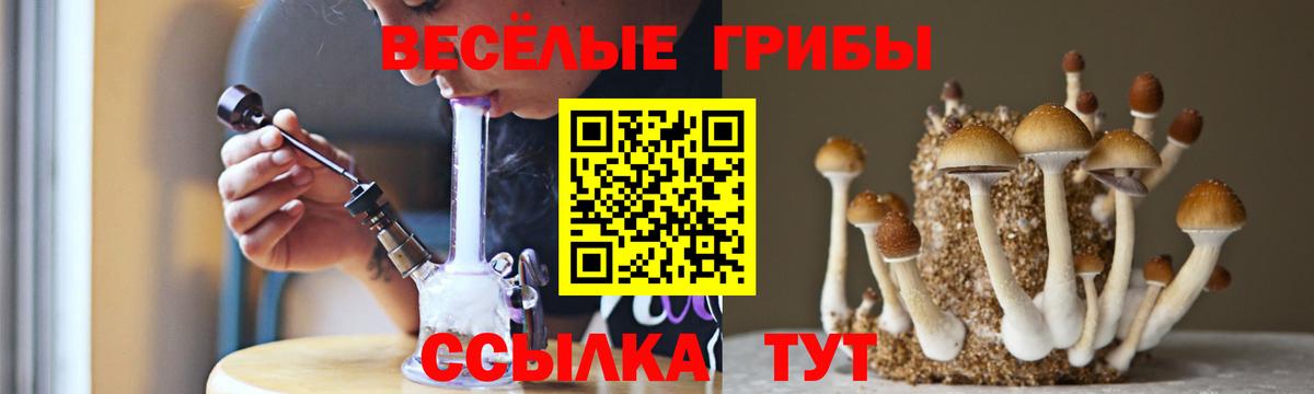 Псилоцибиновые грибы ЛСД Черногорск